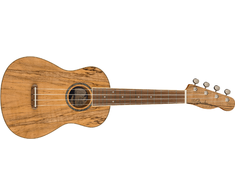 Koncertinė ukulelė Fender Zuma Exotic, natūralaus klevo spalva