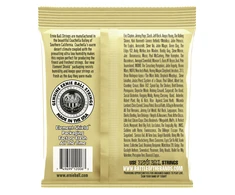 Stygos ak. gitarai Ernie Ball Earthwood P02006 0,10-0,050