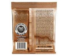 Stygos akustinei gitarai Ernie Ball Earthwood Rock and Blues Phosphor Bronze 0,010 - 0,052