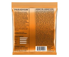 Stygos el. gitarai Ernie Ball Paradigm Hybrid Slinky 09-46