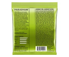 Stygos el. gitarai Ernie Ball Paradigm Regular Slinky 10-46