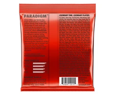 Stygos el. gitarai Ernie Ball Paradigm Skinny Top Heavy Bottom Slinky 10-52