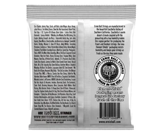 Stygos klasikinei gitarai Ernie Ball 2403 Clear &amp; Sidabrinis
