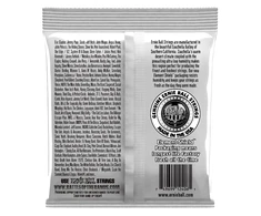 Stygos klasikinei gitarai Ernie Ball 2406 Juodas &amp; Sidabrinis