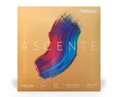 Stygos smuikui D'addario Ascente Violin 3/4 Medium A310 3/4M