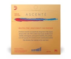 Stygos smuikui D'addario Ascente Violin 3/4 Medium A310 3/4M