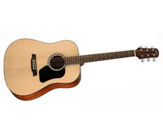 Walden Guitars Akustinė gitara Walden D450W