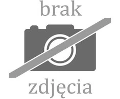 BLOW 8MP IP kamera BL-I8SS40TWM 4 mm baltas kupolinis panoraminis dvigubas objektyvas