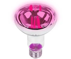 Blow E27 A60 LED 9W R80 lemputė augalų auginimui