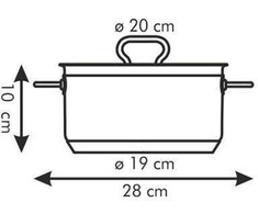 PLIENINIS PUODAS SU DANGIU PROFI TESCOMA 20cm 3l