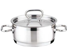 PLIENINIS PUODAS SU DANGIU PROFI TESCOMA 20cm 3l