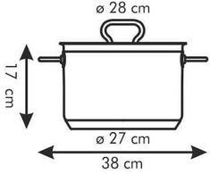 PLIENINIS PUODAS SU DANGIU PROFI TESCOMA 28cm 10l