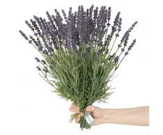 Dirbtinė gėlė LAVI violetinė bohemiško stiliaus ameliahome