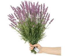 Dirbtinė gėlė LAVI violetinė bohemiško stiliaus ameliahome