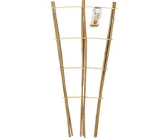 ProGarden bambukinės laiptuotos augalų atramos 75 cm 3 vnt