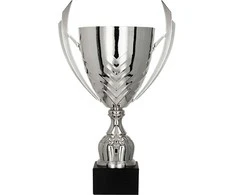 Detal Sidabrinis metalinis puodelis
