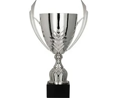 Detal Sidabrinis metalinis puodelis