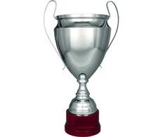 Detal Sidabrinis metalinis T-S puodelis