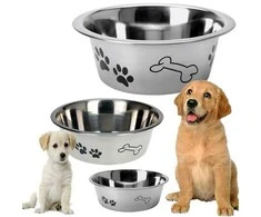 Dogs Collection šuns dubenėlis iš nerūdijančio plieno