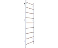 Gimnastikos kopėčios BenchK 700W