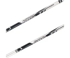 Best Sporting Nordic walking lazdos, dviejų sekcijų