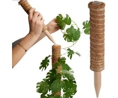 ProGarden Kokosinė augalų atrama 30 cm