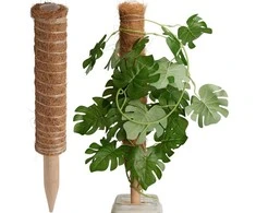 ProGarden Kokosinė augalų atrama 50 cm