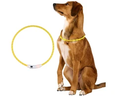 Maxxpro LED ANTKAKLIS SKERSMUO 20CM REGULIUOJAMAS VANDENIUI ATSPARUS USB-C DOGS COLLECTION 427713