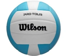 Tinklinio kamuolys Wilson Pro Tour vidinis