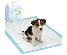 Dogs Collection Higieninis dresavimo kilimėlis šunims, 20 vnt
