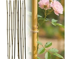 ProGarden bambuko lazdos augalams 60 cm, 10 vnt