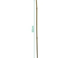 ProGarden bambuko lazdos augalams 60 cm, 10 vnt