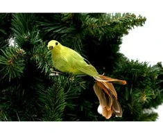 Saska Christmas dekoratyvinis paukštelis su segtuku žalias