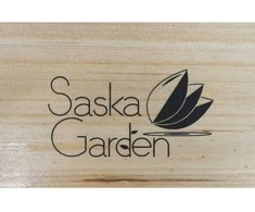 Lauko baldų komplektas Saska Garden Medinis pikniko komplektas su baru