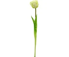 Saska Garden baltas tulpės dekoracija 38 cm