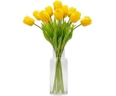 Saska Garden Geltona tulpė 38 cm kaip natūrali