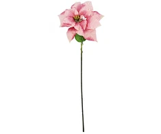 SASKA GIFT AND DECOR Betliejaus žvaigždė 30 cm rožinė