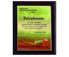 Tryumf Plastikinis diplomas su spalvotu touch laminatu