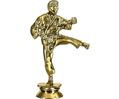 Tryumf Figūrėlė plastikowa karate F10/G