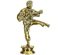 Tryumf Figūrėlė plastikowa karate F10/G