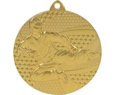 Tryumf Medal auksinė- karate - medal plieno