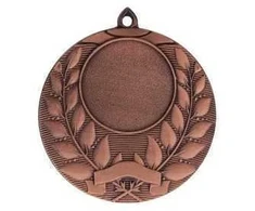 Tryumf Bendras bronzos medalis su vieta emblemai 25 mm - plieno medalis