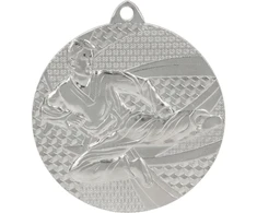 Tryumf Medal sidabrinė- karate - medal plieno