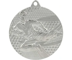 Tryumf Medal sidabrinė- karate - medal plieno