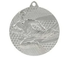 Tryumf Medal sidabrinė- karate - medal plieno