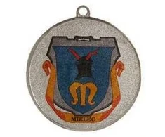 Tryumf Sidabro medalis su vieta emblemai 25 mm - plieno medalis su luxor jet print