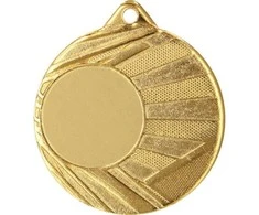 Tryumf MEDAL Z MIEJSCEM NA WKLEJKĘ Auksinė ŚR 50mm