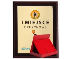 Tryumf Plastikinis diplomas su spalvotu jutikliniu laminatu + korpusas 305x245 mm