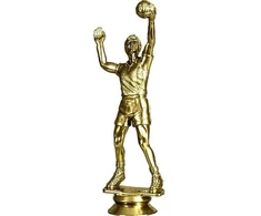 Tryumf Plastikinis figūrinis tinklinis F21/G
