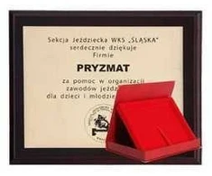 Tryumf Plastikinis pagrindas su graviruotu laminatu + korpusas 305x245 mm